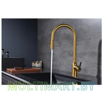 Смеситель Paulmark Universal Un213880-BG (брашированное золото) картинка 3